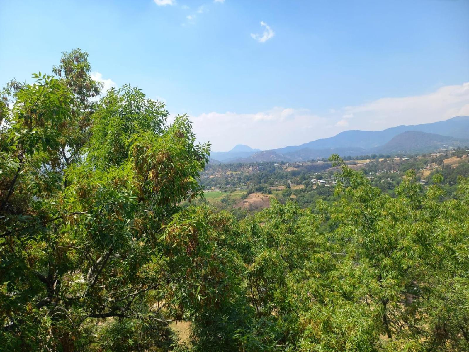 Solache Inn Zitácuaro 部屋 写真
